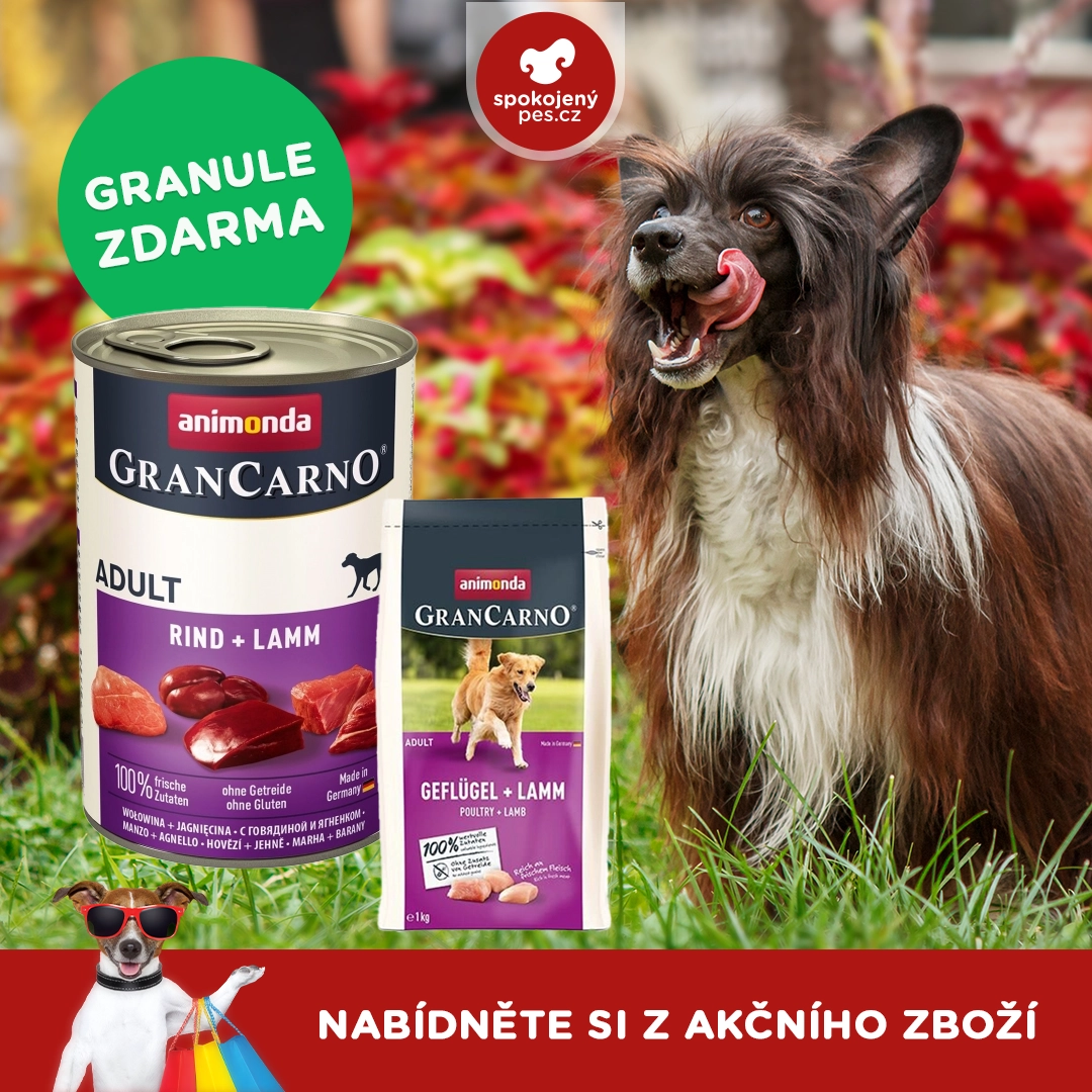 dog animonda.webp